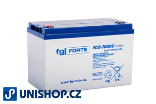 FG12-100DG  (12V100Ah)